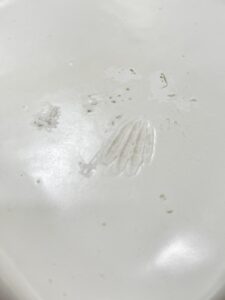 前田育子ブログ㉖